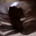 A woman poops onto some aluminum foil on the floor.